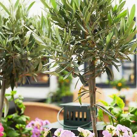 Hotell Baeckagarden 이스타드 외부 사진