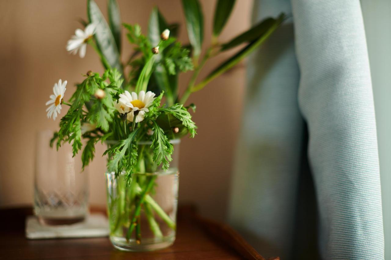 Hotell Baeckagarden 이스타드 외부 사진