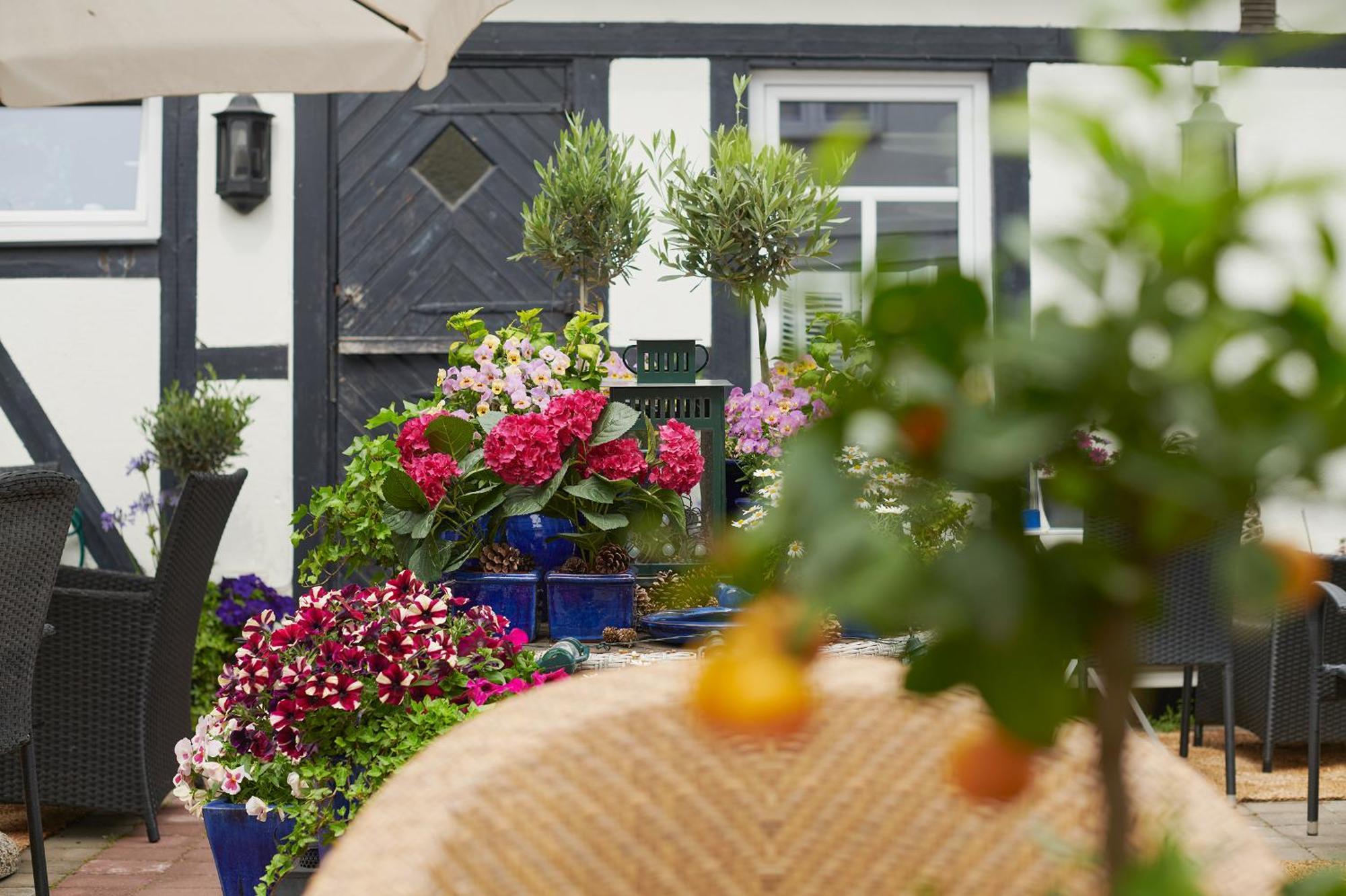 Hotell Baeckagarden 이스타드 외부 사진